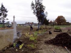 Úprava starého hřbitova